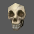 345_skullprojectile