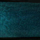 stream